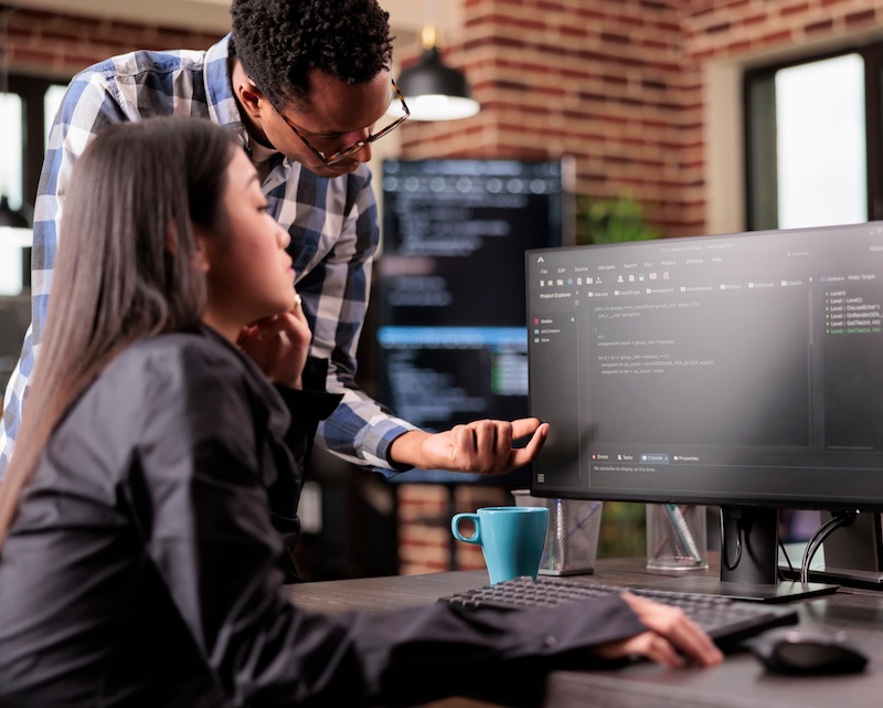 1. Custom CMS Development